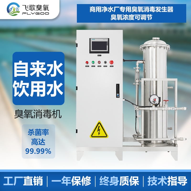 臭氧消毒機水處理廠家-廣州飛歌環保科技